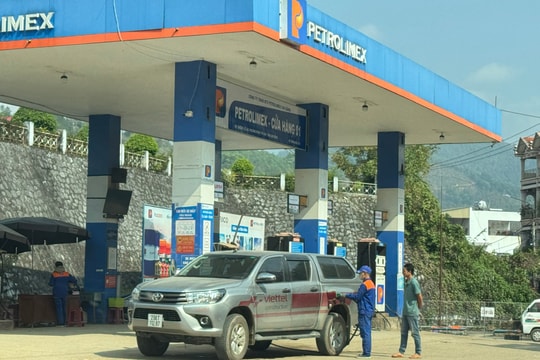 Giá xăng dầu hôm nay 31/3/2026: Bảng giá tại Petrolimex, PVOIL, Mipec, GIANGNAMPETROL