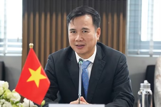 Phó Giáo sư quê Hà Tĩnh làm Giám đốc Đại học Quốc gia Hà Nội