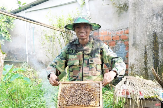 Tôi gom mật ngọt vào mùa