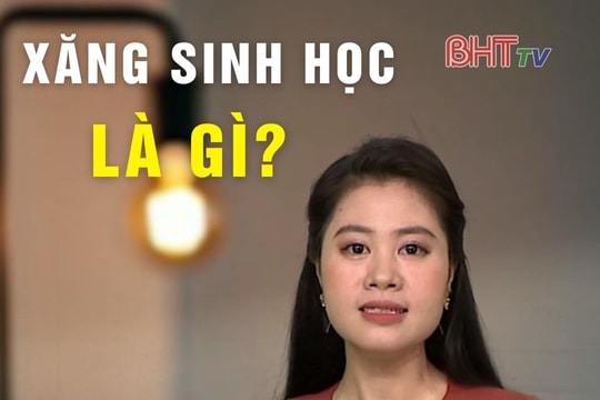 Xăng sinh học là gì? Tại sao Chính phủ lại quyết liệt đẩy sớm lộ trình lên tháng 4/2026?