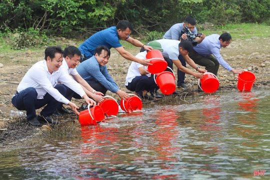 Hà Tĩnh thả hơn 4 vạn cá giống tái tạo nguồn lợi thủy sản