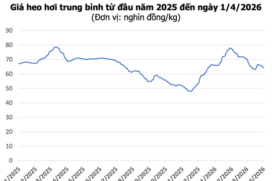 Giá heo hơi hôm nay 1/4: Miền Bắc tăng nhẹ, miền Nam giảm về 65.000 đồng/kg