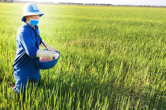 Giá phân bón hôm nay 1/4/2026: Urê thế giới tăng 83% từ đầu năm do xung đột Trung Đông