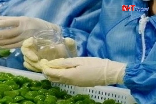 Đề nghị truy tố 8 đối tượng thuộc Công ty CP Asia Life sản xuất kẹo Kera