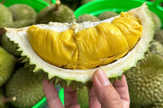 Giá sầu riêng hôm nay 1/4/2026 ổn định: RI6 loại 1 52.000-60.000 đồng/kg