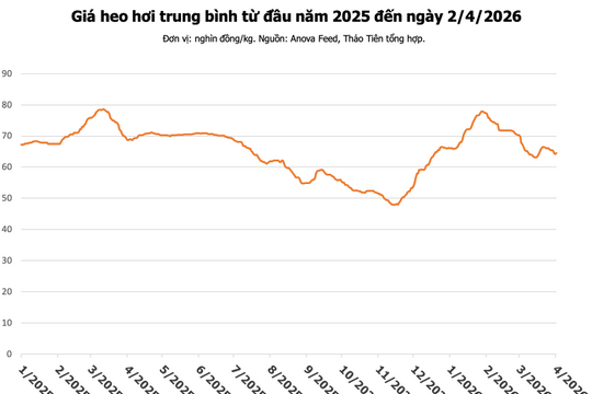 Giá heo hơi hôm nay 2/4: Miền Bắc tăng 2.000 đồng/kg, miền Nam giữ mức 68.000 đồng