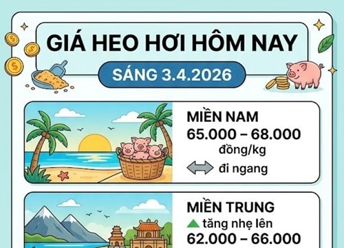 Giá heo hơi hôm nay 3/4: Miền Bắc và miền Trung phục hồi, cao nhất 68.000 đồng/kg