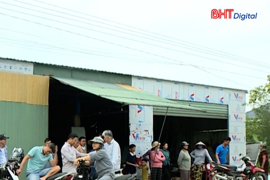 Nhiều hộ dân dư khổ vì mùi hôi thối từ trại gà