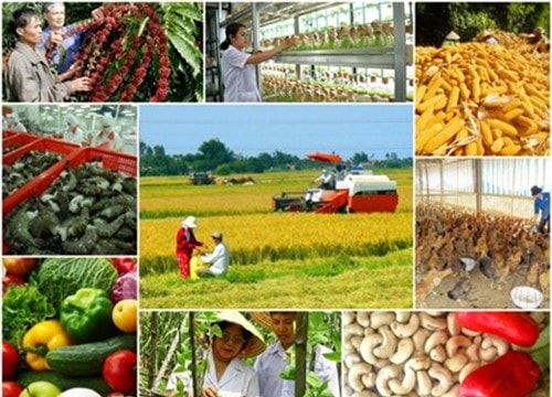 Xuất khẩu nông sản quý I/2026 đạt 16,69 tỷ USD dù giá cà phê và gạo giảm sâu