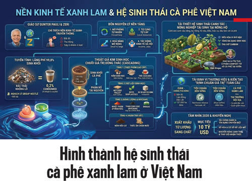 Xuất khẩu cà phê Việt Nam đạt 8,92 tỷ USD năm 2025 nhờ chuyển đổi hệ sinh thái xanh lam