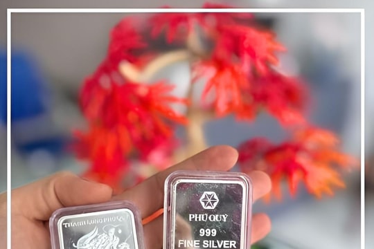 Giá bạc hôm nay 6/4/2026: Bạc thỏi Phú Quý giảm hơn 1 triệu/kg