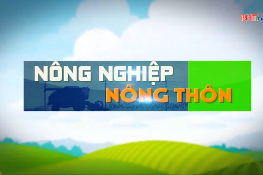 Trồng dâu nuôi tằm cho lợi nhuận cao ở xã Đức Thịnh