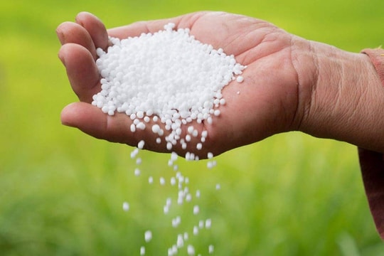 Giá phân bón hôm nay 14/4/2026: DAP cao nhất, thị trường đi ngang