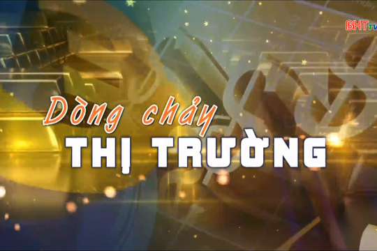 Mùa mua sắm điện máy: Người tiêu dùng thông thái chọn gì?