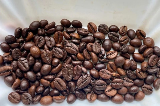 Giá cà phê hôm nay 16/4/2026: Đồng loạt tăng 1200 đồng