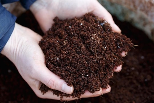Giá phân bón hôm nay 15/4/2026: Bảng giá 12 loại phân bón tại thị trường trong nước