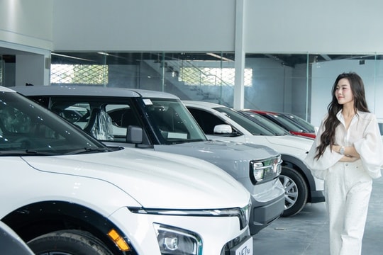 Đề xuất miễn lệ phí trước bạ cho xe điện đến hết năm 2030