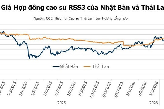 Giá cao su ngày 16/4: Thị trường thế giới giằng co, nguồn cung dự báo tăng