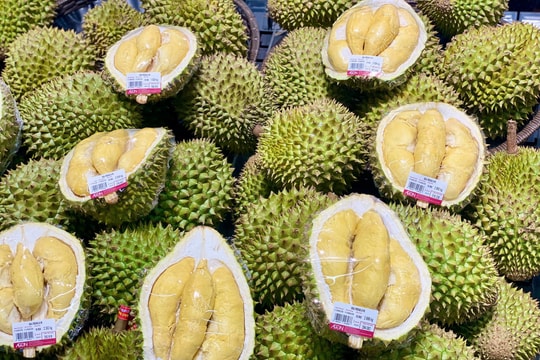 Giá sầu riêng hôm nay 17/4/2026: Sầu riêng đi ngang ba miền