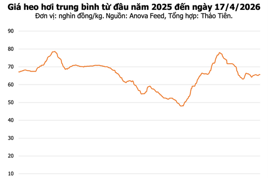Giá heo hơi hôm nay 17/4/2026: Thị trường đi ngang, cao nhất 69.000 đồng/kg