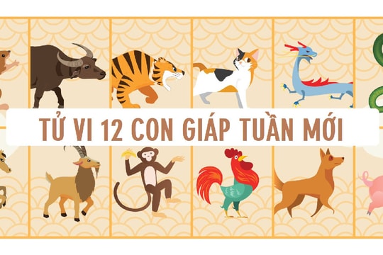 Tử vi tuần mới từ 20/4 đến 26/4/2026: Tuổi Dần bứt phá, tuổi Tý cần lưu ý tài chính