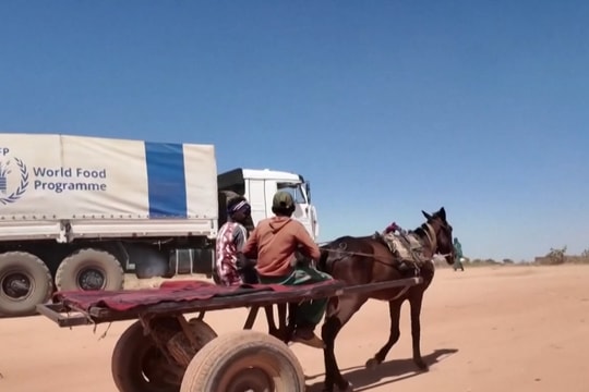 Hàng triệu người tại Sudan sống sót chỉ với 1 bữa ăn mỗi ngày