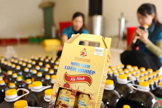 Sắp diễn ra “Tuần lễ sản phẩm Hà Tĩnh tại Thủ đô”