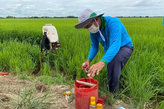 Giá phân bón hôm nay 20/4/2026: Thế giới lao dốc