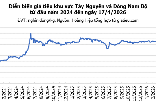 Giá tiêu hôm nay 17/4/2026: Trong nước đi ngang, giá tiêu Brazil giảm mạnh 150 USD/tấn