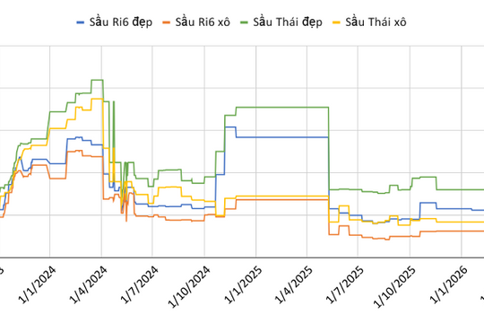 Giá sầu riêng hôm nay 17/4/2026: Thị trường đi ngang, cao nhất 90.000 đồng/kg