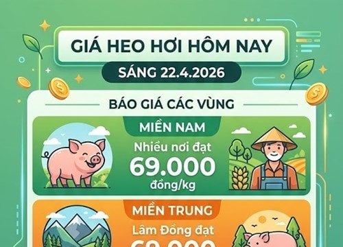 Giá heo hơi hôm nay 22/4: Miền Nam ổn định ở mức 69.000 đồng/kg