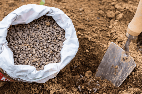 Giá phân bón hôm nay 24/4/2026: DAP Nga chạm mốc 1,24 triệu