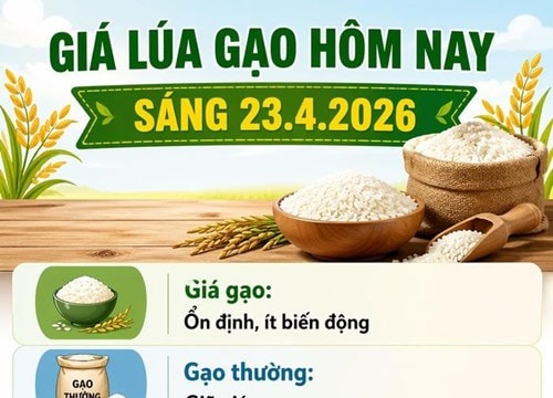 Giá lúa ngày 23/4 tăng nhẹ, thị trường gạo duy trì ổn định
