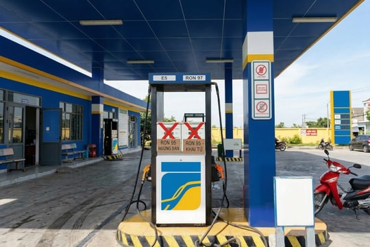 Giá xăng dầu hôm nay 26/4/2026: Bảng giá tại Petrolimex, PVOIL, Mipec, GIANGNAMPETROL