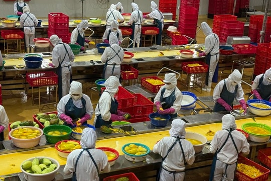 Nông nghiệp Việt Nam quý I/2026 tăng trưởng 3,58% và áp lực chuyển đổi giá trị xuất khẩu