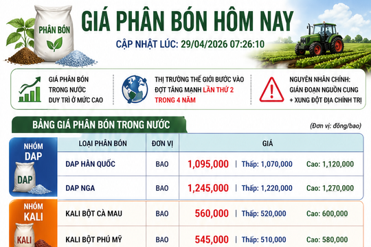 Giá phân bón hôm nay 29/4/2026: Urê Cà Mau 675.000 đồng/bao