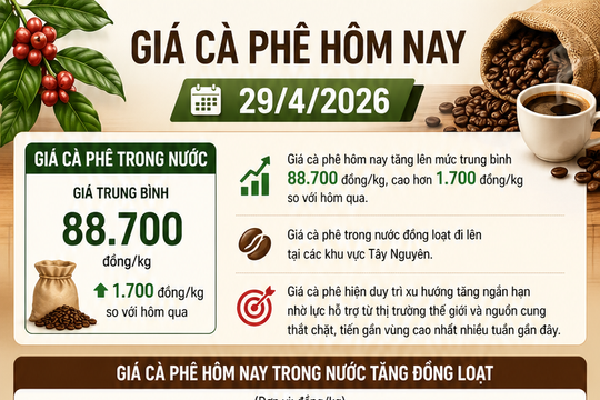 Giá cà phê hôm nay 29/4/2026 tăng 1700 đồng/kg so với hôm qua.