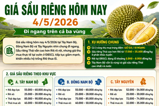 Giá sầu riêng hôm nay 4/5/2026: Bảng giá sầu riêng Ri6, sầu Thái tại Tây Nguyên, Đông Nam Bộ, BĐSCL