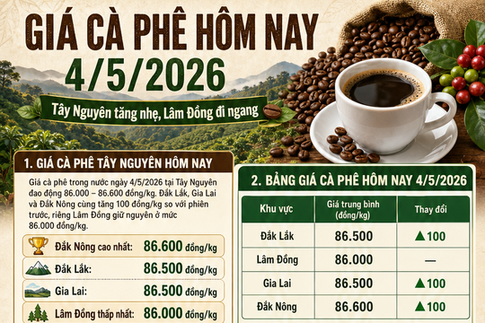 Giá cà phê hôm nay 4/5/2026: Trong nước tăng, thế giới giảm