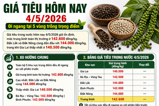Giá tiêu hôm nay 4/5/2026: Trong nước và thế giới ổn định