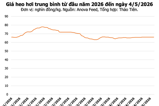 Giá heo hơi hôm nay 4/5: Đồng Nai tăng lên 70.000 đồng/kg