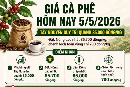 Giá cà phê hôm nay 5/5/2026: Đắk Nông cao nhất 85.700 đồng/kg
