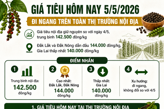 Giá tiêu hôm nay 5/5/2026: Ổn định trong nước