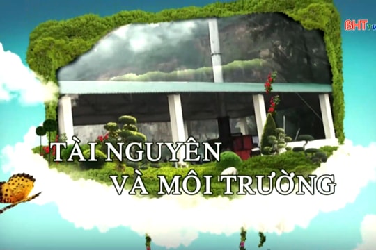 Báo động nguy cơ cháy rừng từ diện tích gãy đổ sau bão ?