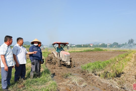 Chủ động sản xuất hè thu, né thời tiết bất lợi vào cuối vụ