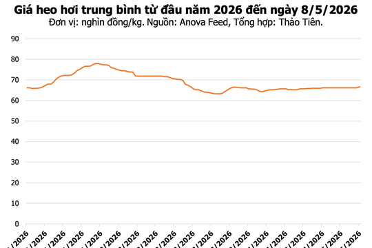 Giá heo hơi hôm nay 8/5: Nhiều địa phương tăng giá, mức cao nhất đạt 70.000 đồng/kg