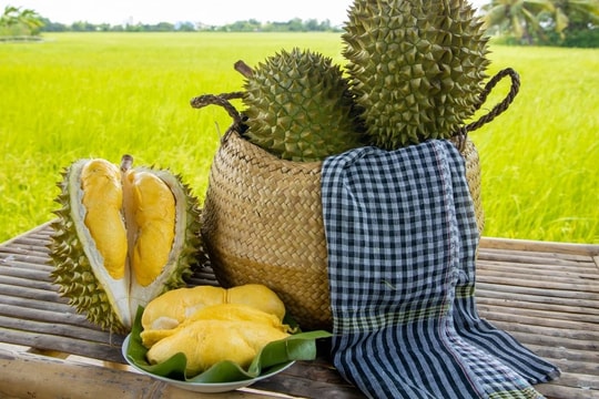 Giá sầu riêng hôm nay 8/5: Tây Nam Bộ cao nhất 90.000đ/kg