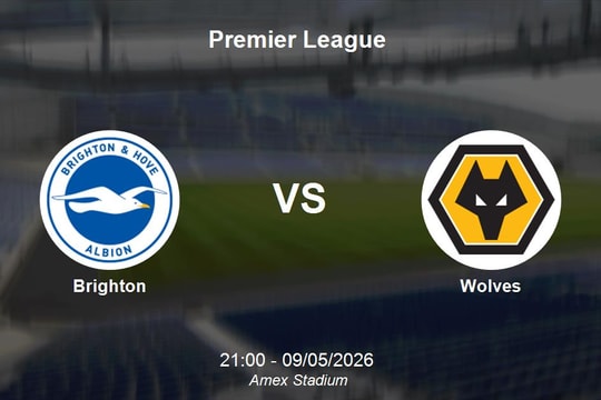 Nhận định Brighton vs Wolves - Vòng 36 Premier League: Cơ hội cho chủ nhà
