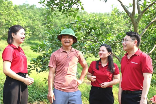 Tiếp sức cho nông nghiệp sạch từ dòng vốn ưu tiên