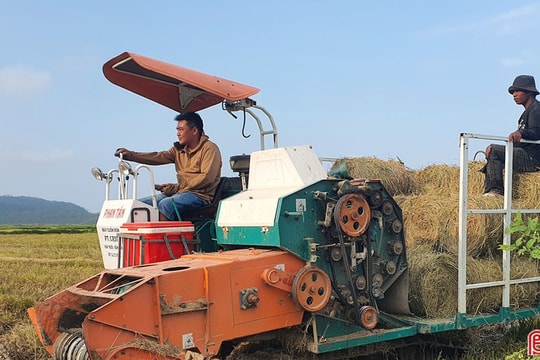 Máy cuộn rơm làm sạch đồng ruộng, tăng thu nhập cho nông dân